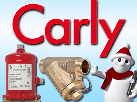 Download Carly